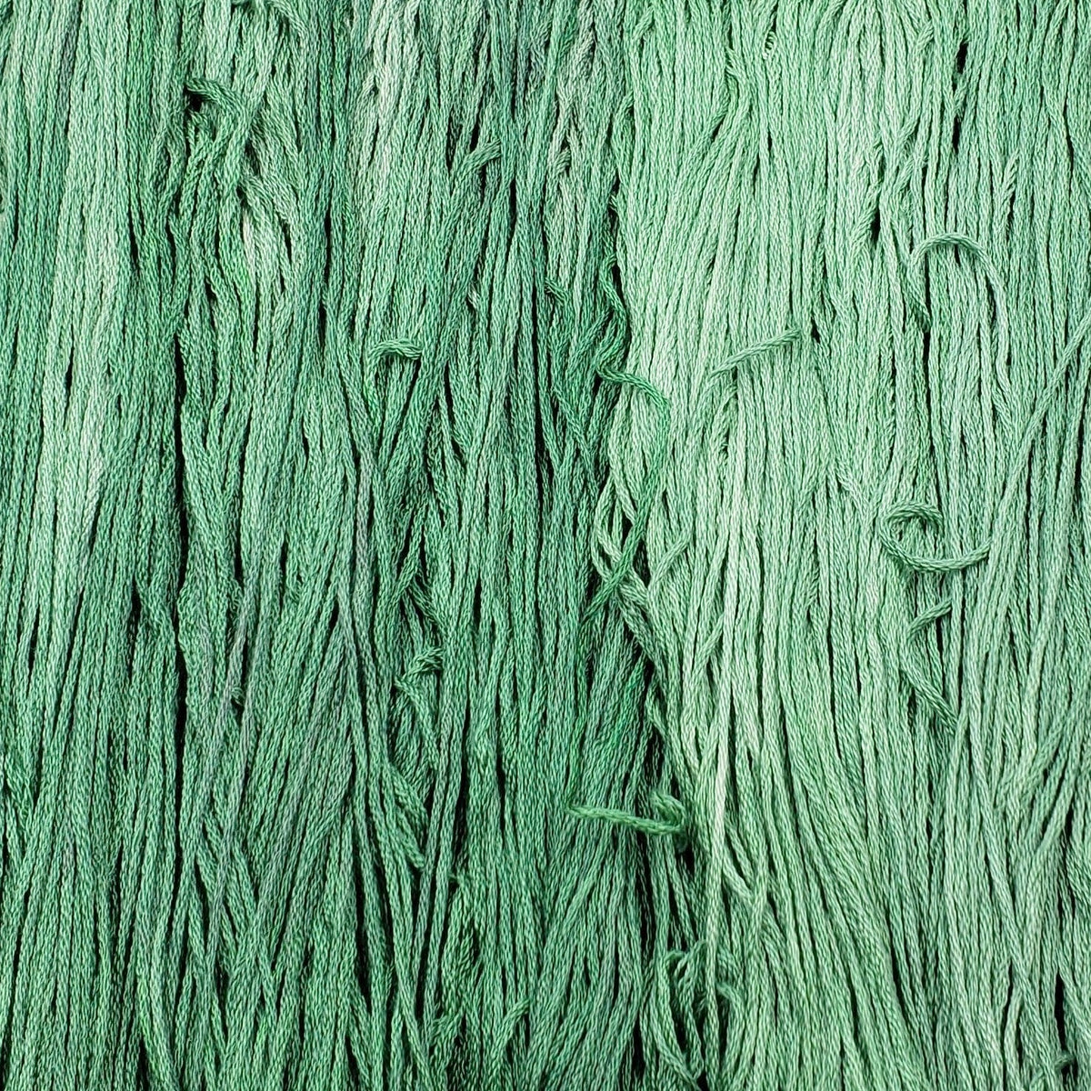 Silk Embroidery Floss - Bermuda Grass