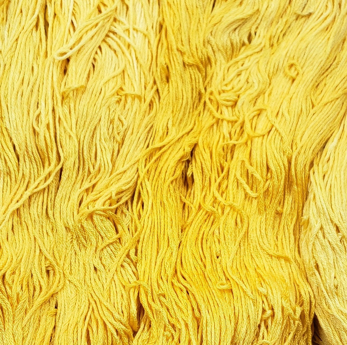 Silk Embroidery Floss - Goldenrod
