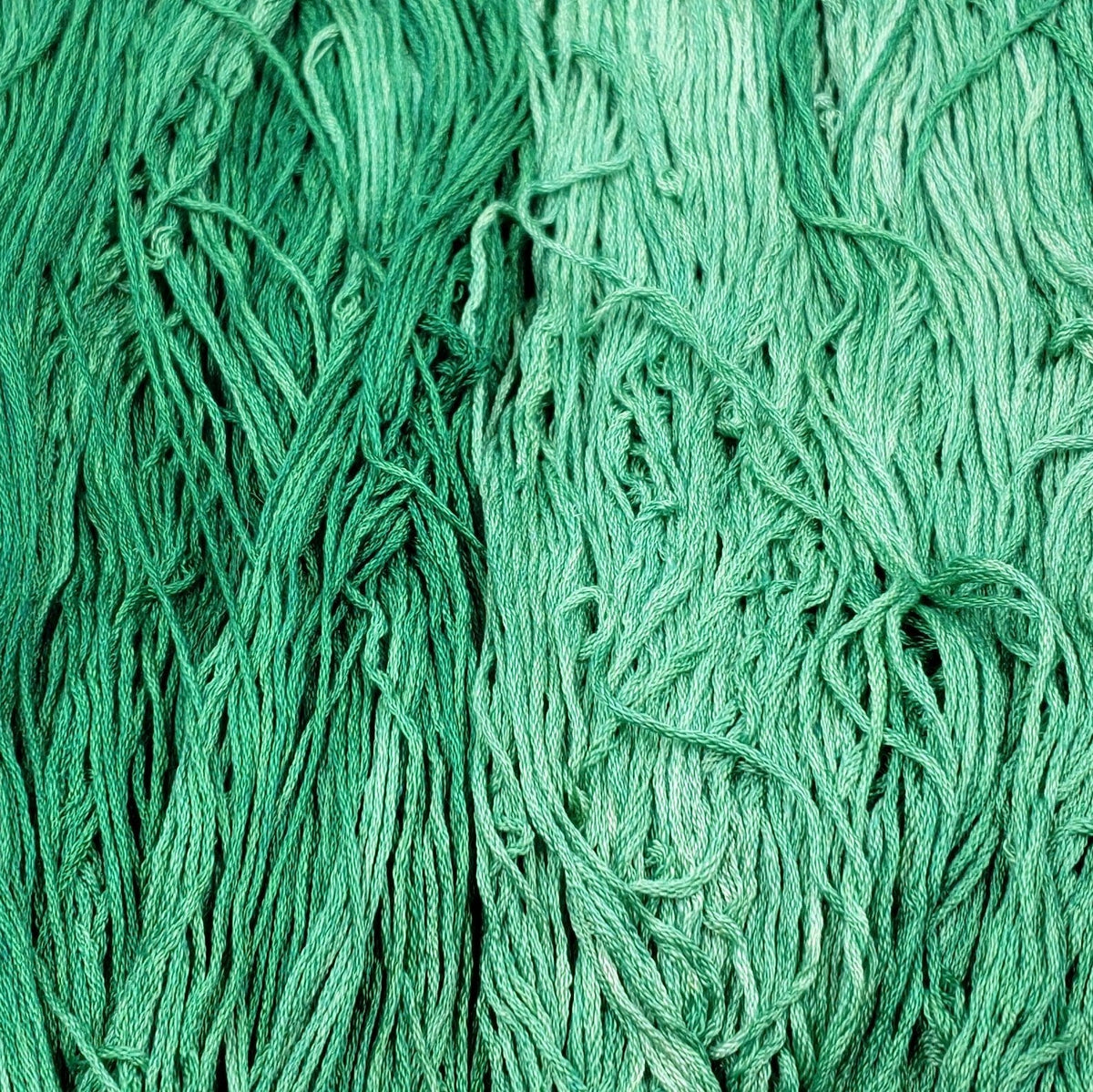 Silk Embroidery Floss - Ponytail Palm
