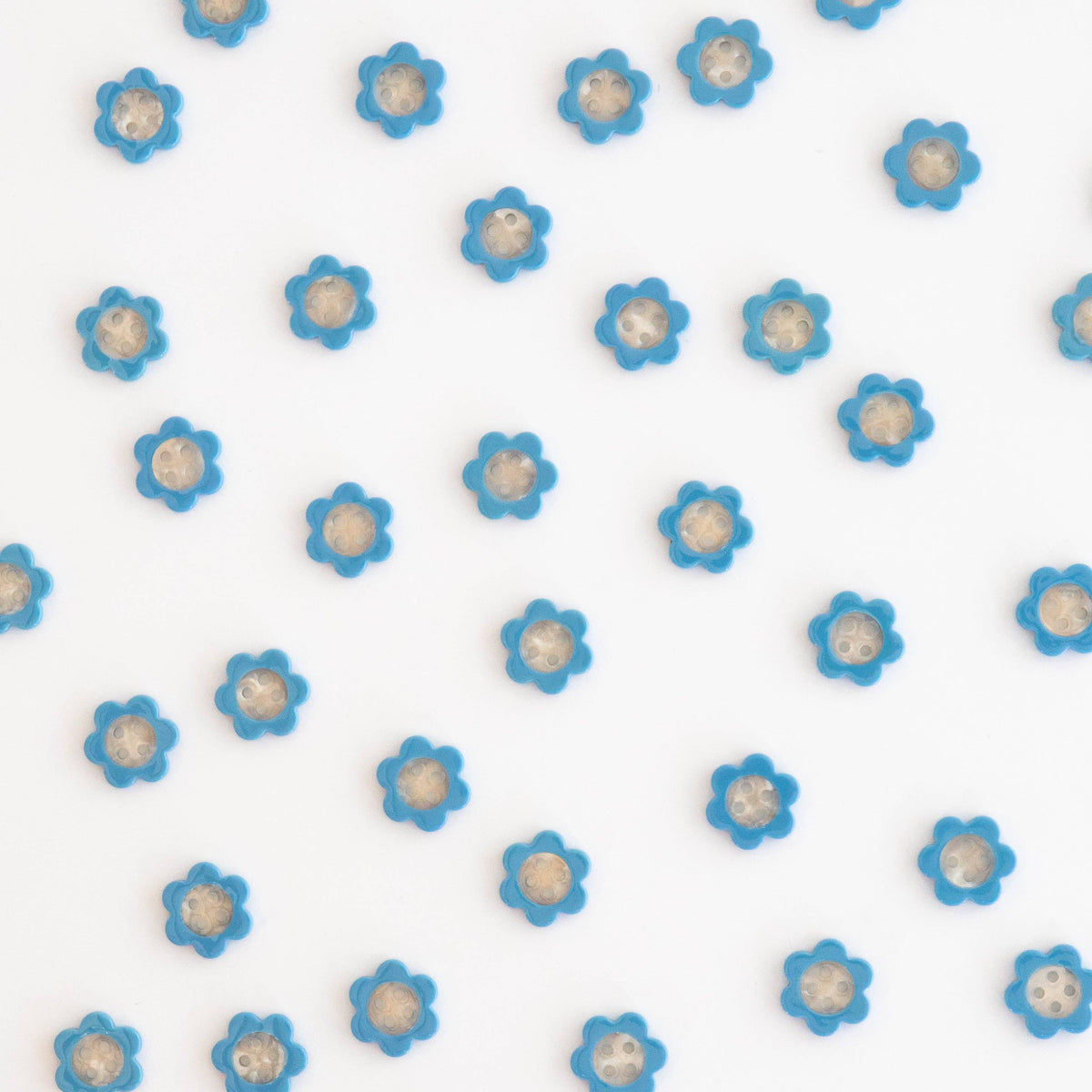 Blue Daisy Buttons