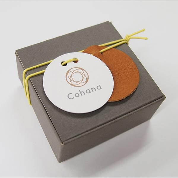 Cohana Nambu iron paperweight and pattern weight, in its gift box