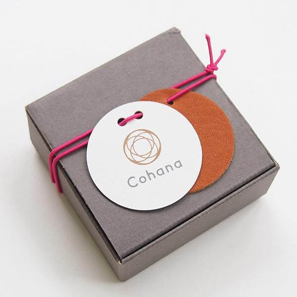 Cohana Nambu iron paperweight and pattern weight, in its gift box with card