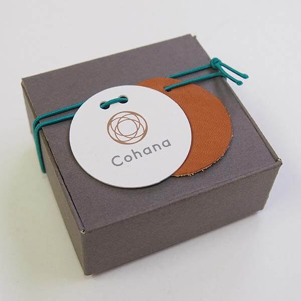 Cohana Nambu iron paperweight and pattern weight, in green in its box