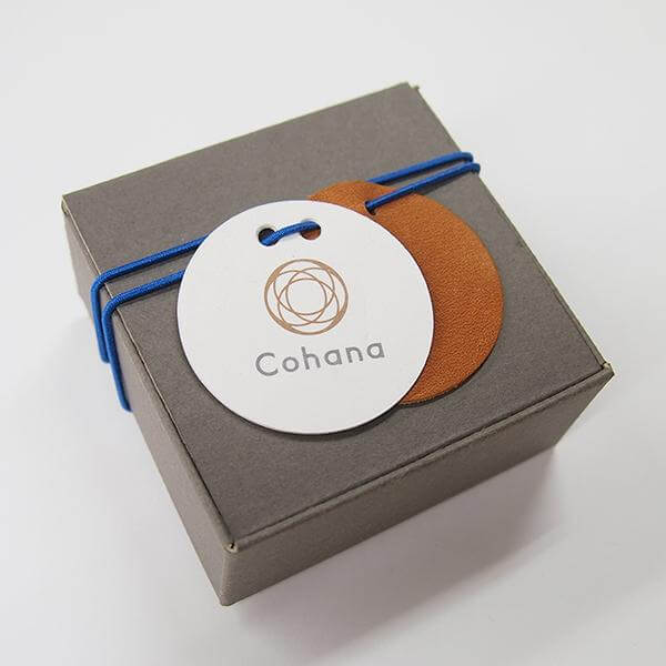 Cohana Nambu iron paperweight and pattern weight, in teal in its box