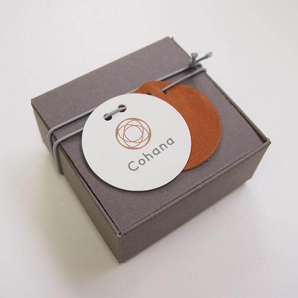 Cohana Nambu iron paperweight and pattern weight, in its box, angled view