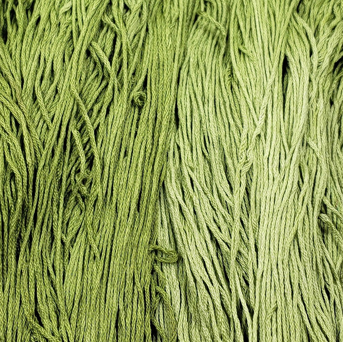 Silk Embroidery Floss - Green Shoots