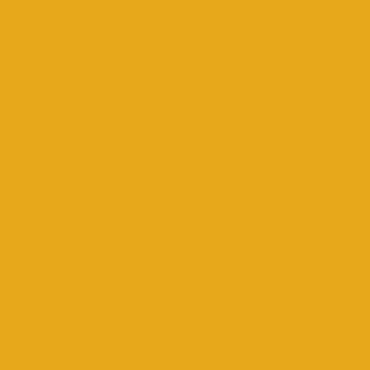 Ruby Star Society Ruby Star Solids quilting cotton swatch in Goldenrod (RS5500-14), a solid in the precut jelly roll, charm pack and layer cake