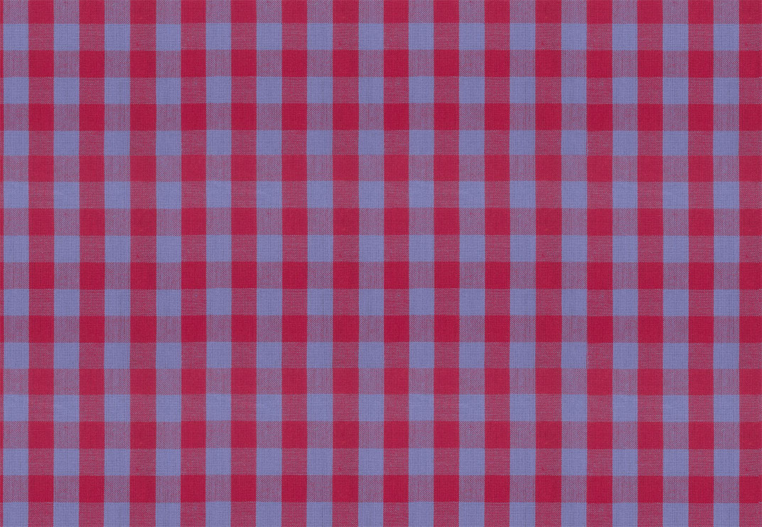 Anna Maria Textiles Common Ground Jester yarn-dyed cotton in red and blue plaid by the half yard