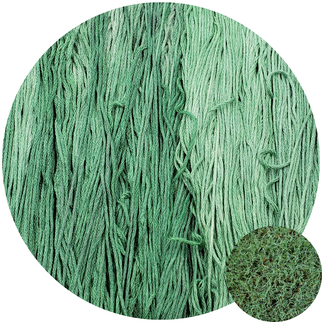 Silk Embroidery Floss - Bermuda Grass