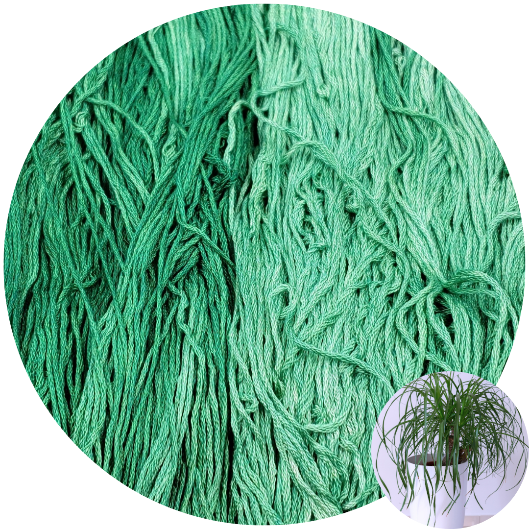 Silk Embroidery Floss - Ponytail Palm