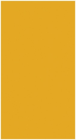 Ruby Star Society Ruby Star Solids quilting cotton in Goldenrod, a solid color fabric swatch sold by the half yard