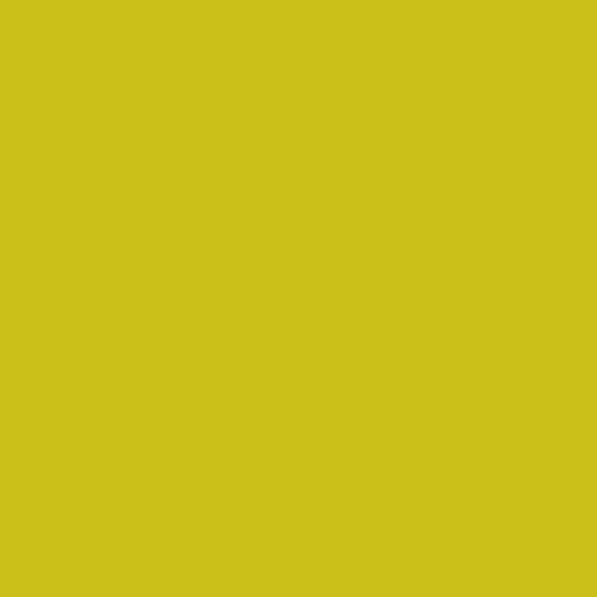 Pre Order Ruby Star Solids - Pistachio — official fabric image
