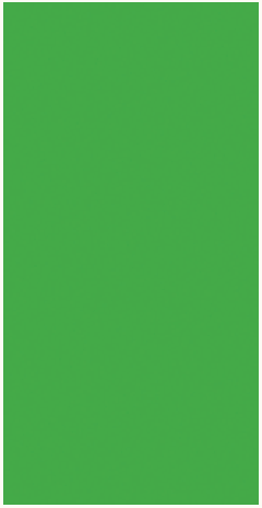 Ruby Star Society Ruby Star Solids quilting cotton in Verdant, a solid color fabric swatch sold by the half yard