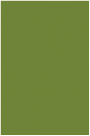 Ruby Star Society Ruby Star Solids quilting cotton in Sprout, a solid color fabric swatch sold by the half yard