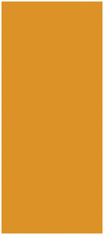 Ruby Star Society Ruby Star Solids quilting cotton in Honey, a solid color fabric swatch sold by the half yard