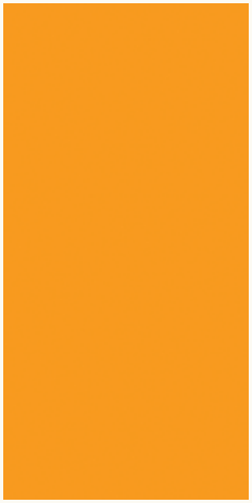 Ruby Star Society Ruby Star Solids quilting cotton in Cheddar, a solid color fabric swatch sold by the half yard